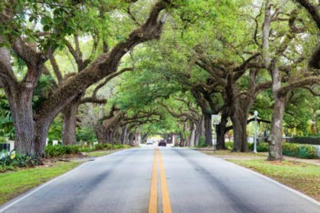 My Lovely Home In Miami 15 Minutes From The Beach Exterior photo